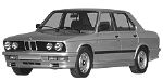 BMW E28 P1B60 Fault Code
